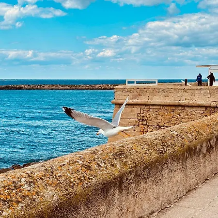 펜션 Il Nido Di Circe 갈리폴리