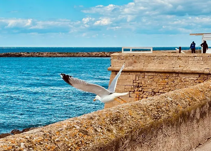 Casa vacanze Il Nido Di Circe Gallipoli